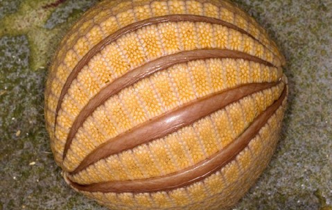 尒疮^住?謩*T尒?魨撁矮謲$橡袃W勘c的简单介绍-雷火平台