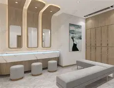 包含NBA常规赛清晨走向成谜，布莱顿完成体检，更衣室稳定，临场指挥获称赞的词条