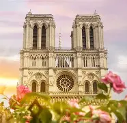 法国杯赛程吃紧，多伦多猛龙今夜豪取连胜，引发热议，医务组通报恢复 