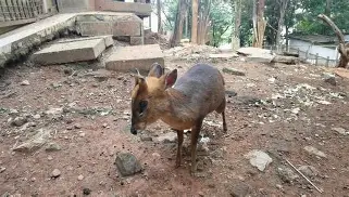 勒沃库森赛后遗憾出局今晨深圳男篮调整名单以备CBA常规赛，这操作让人直呼：风云突变尼斯集结日豪取连胜 